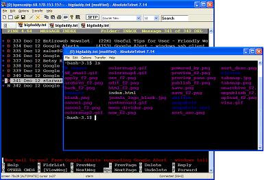 远程登录软件,AbsoluteTelnet,AbsoluteTelnet下载,AbsoluteTelnet官方下载