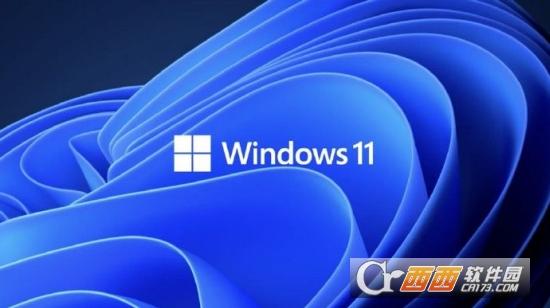 win11,升级,检测.